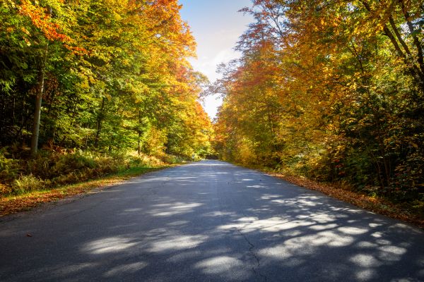 Cost of Blacktop Replacement in Conway