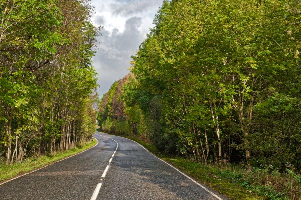 Chip Seal Installation